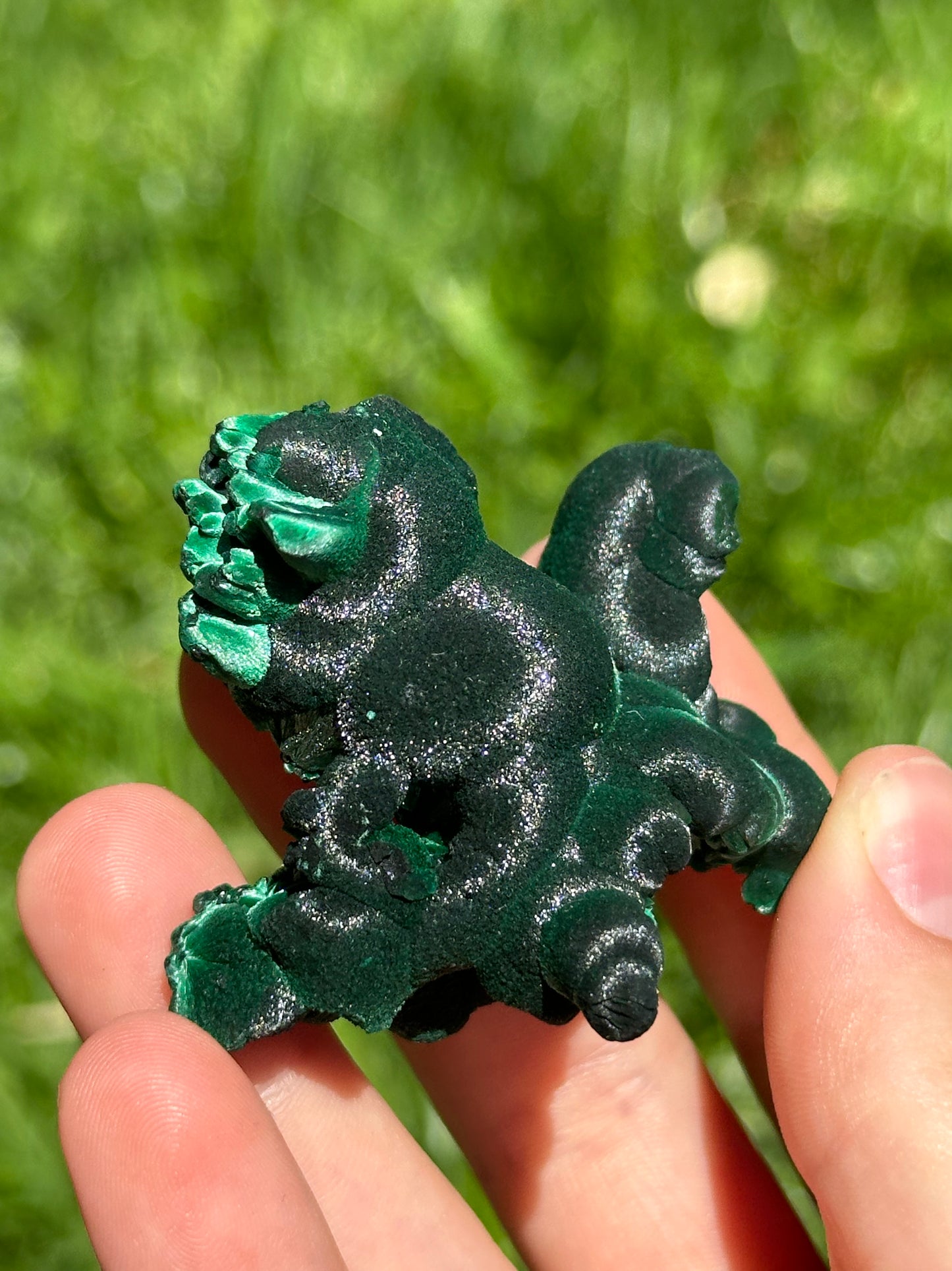 Velvet malachite