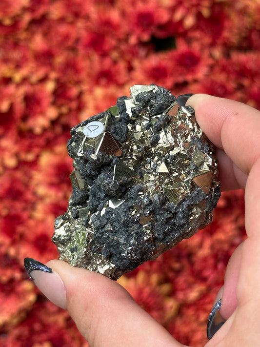 Octahedron Pyrite