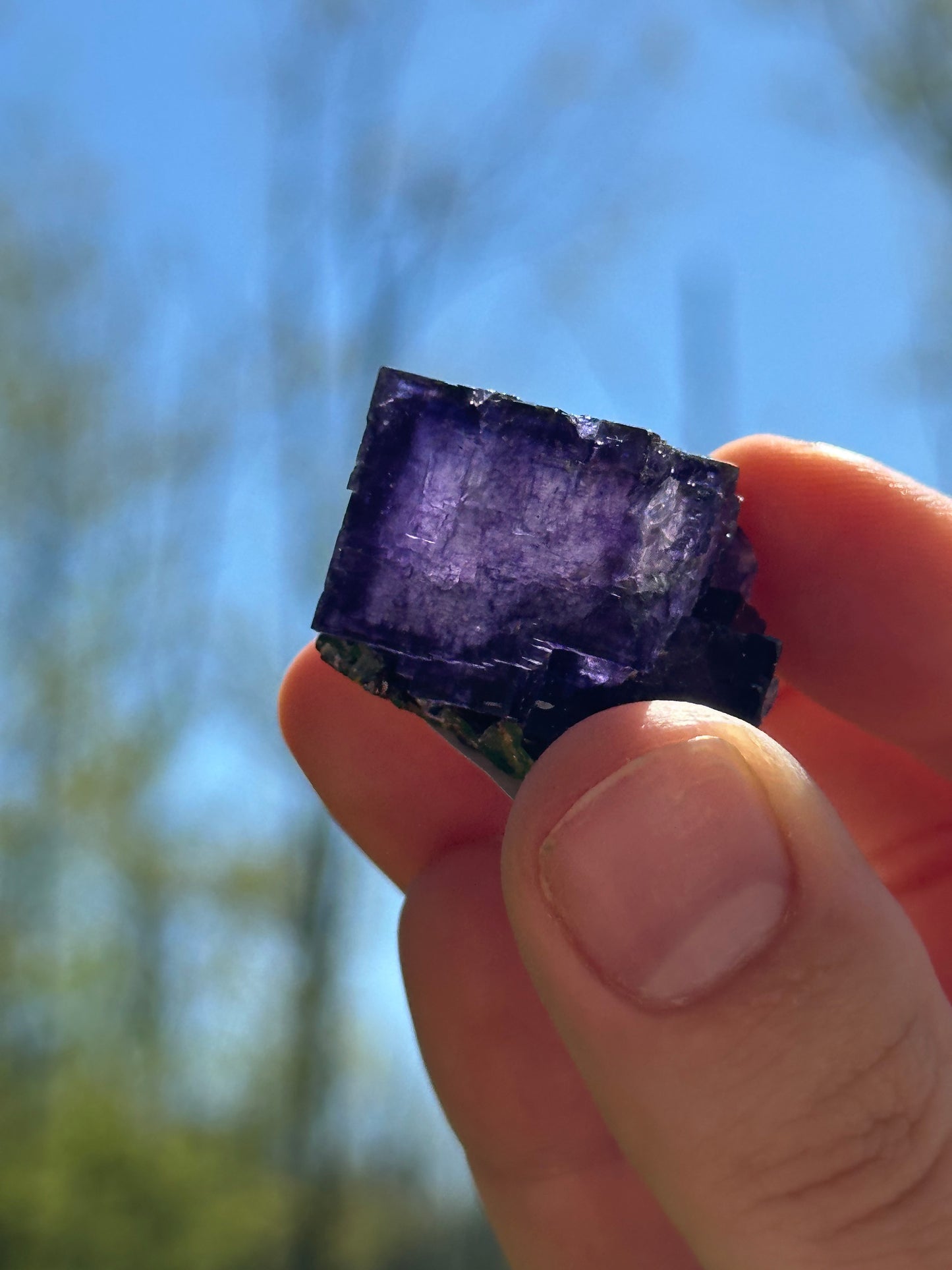 Elmwood fluorite