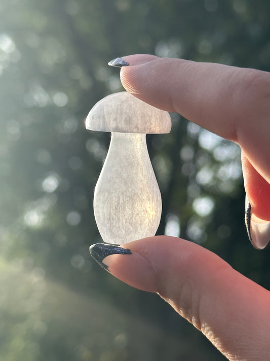 Mini Satin Spar Selenite Mushroom