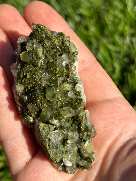 Forest Epidote