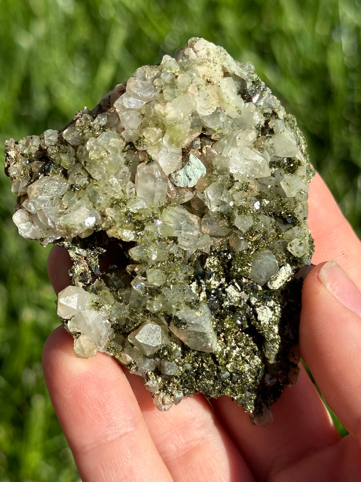 Forest Epidote