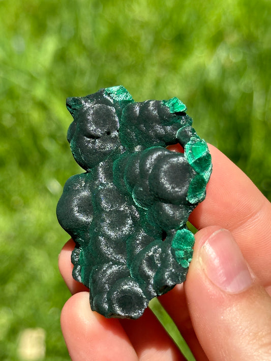 Velvet malachite