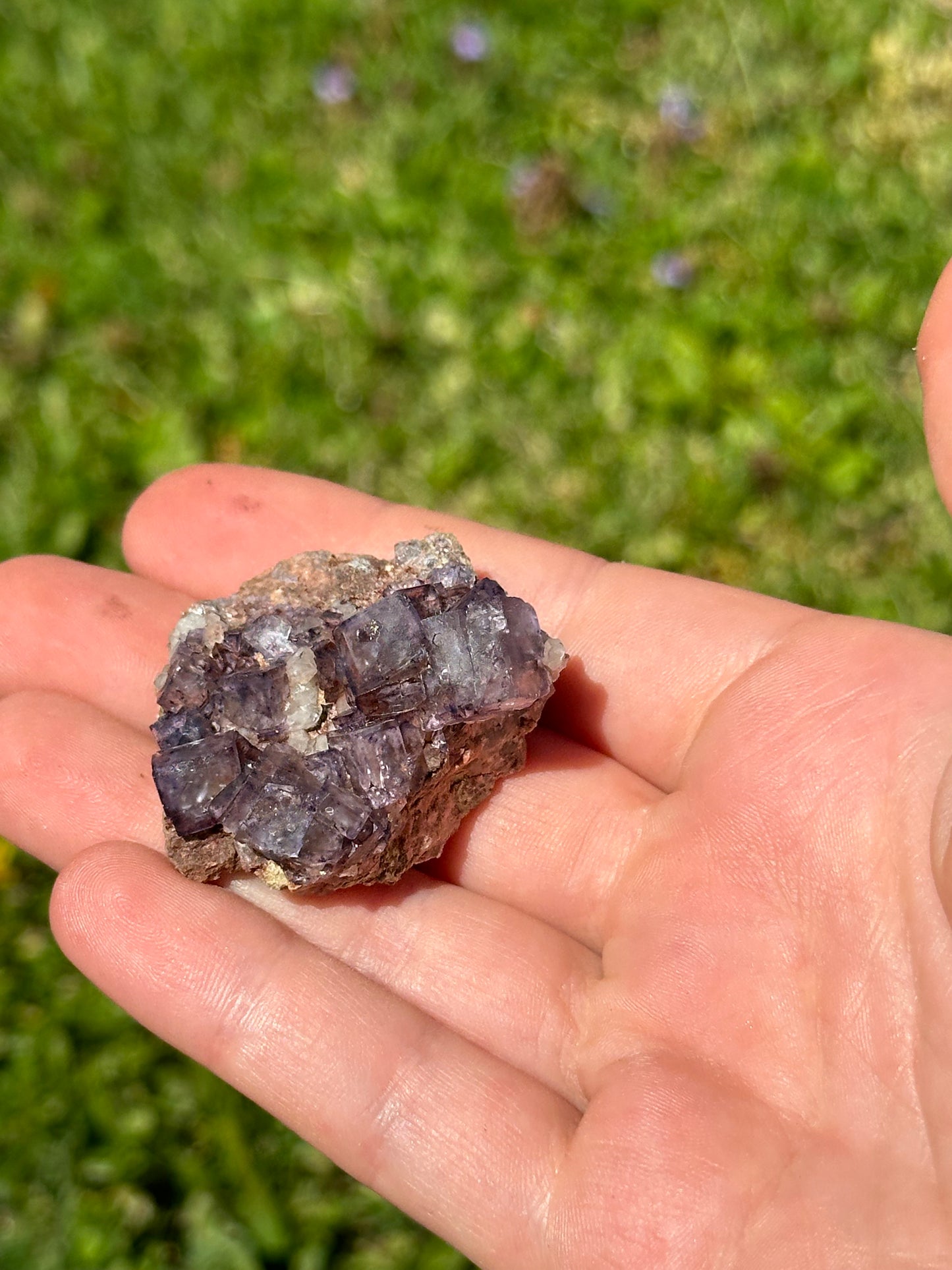 Colorado fluorite