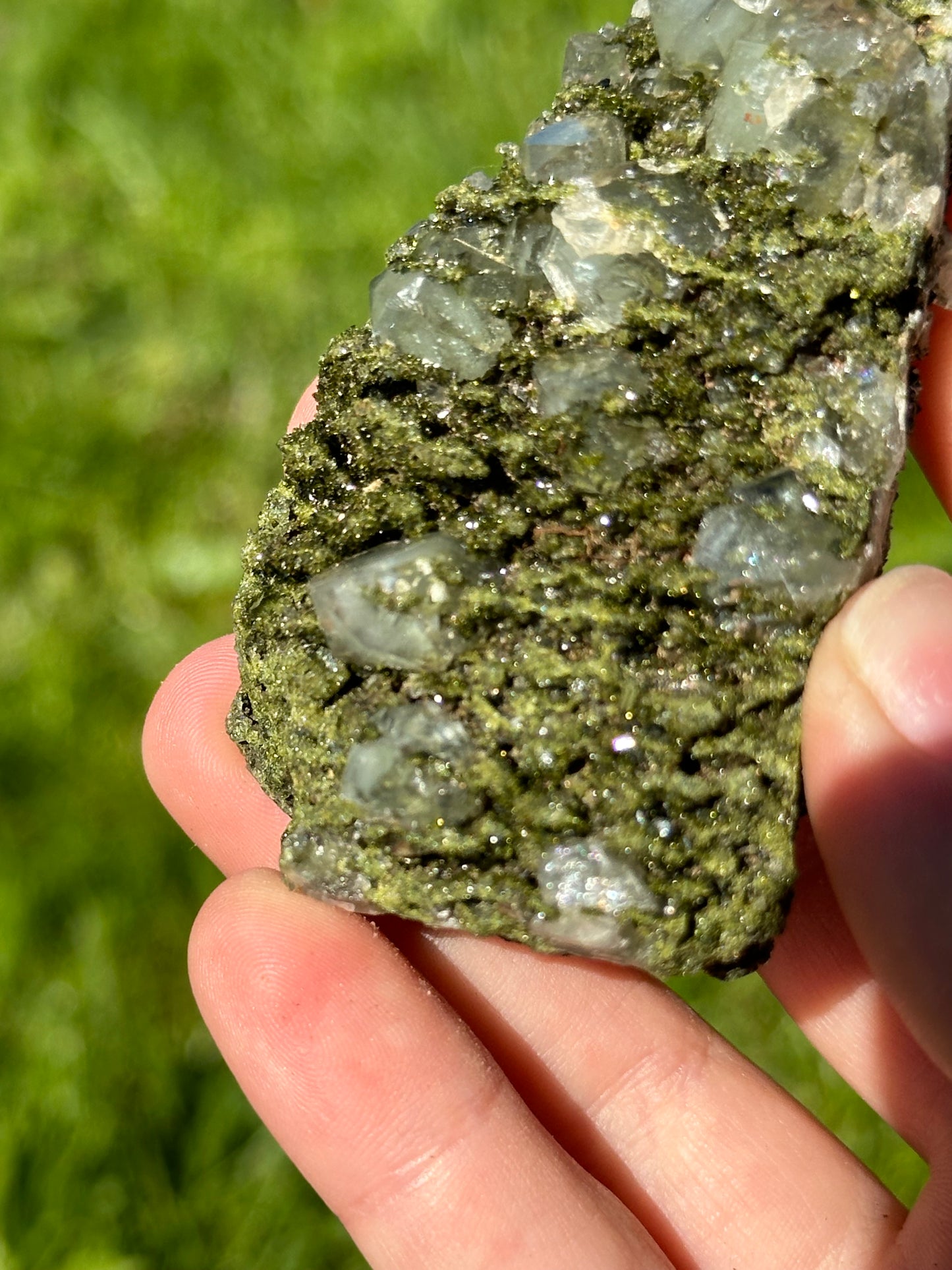 Forest epidote