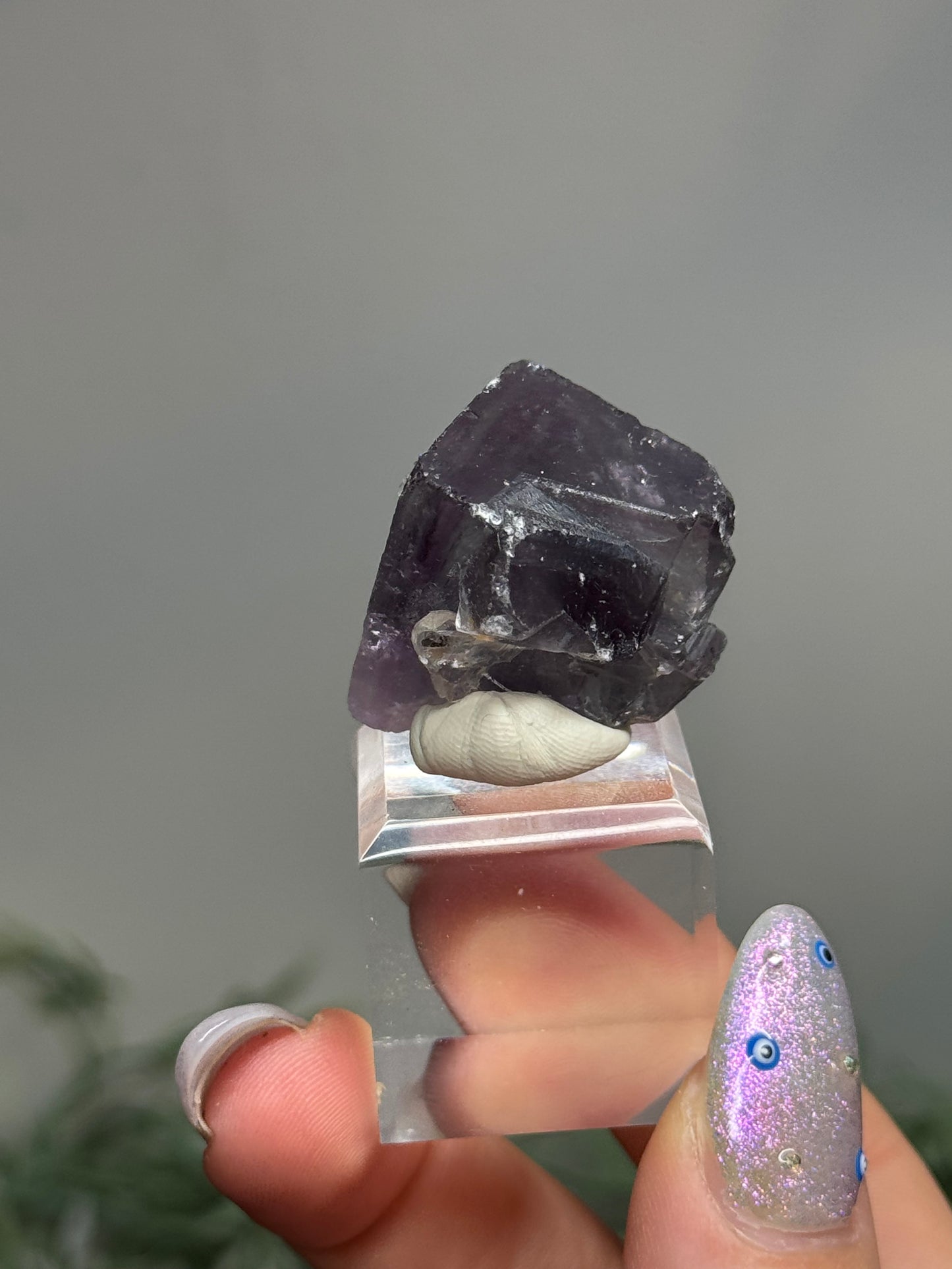 Fluorite - Nigeria