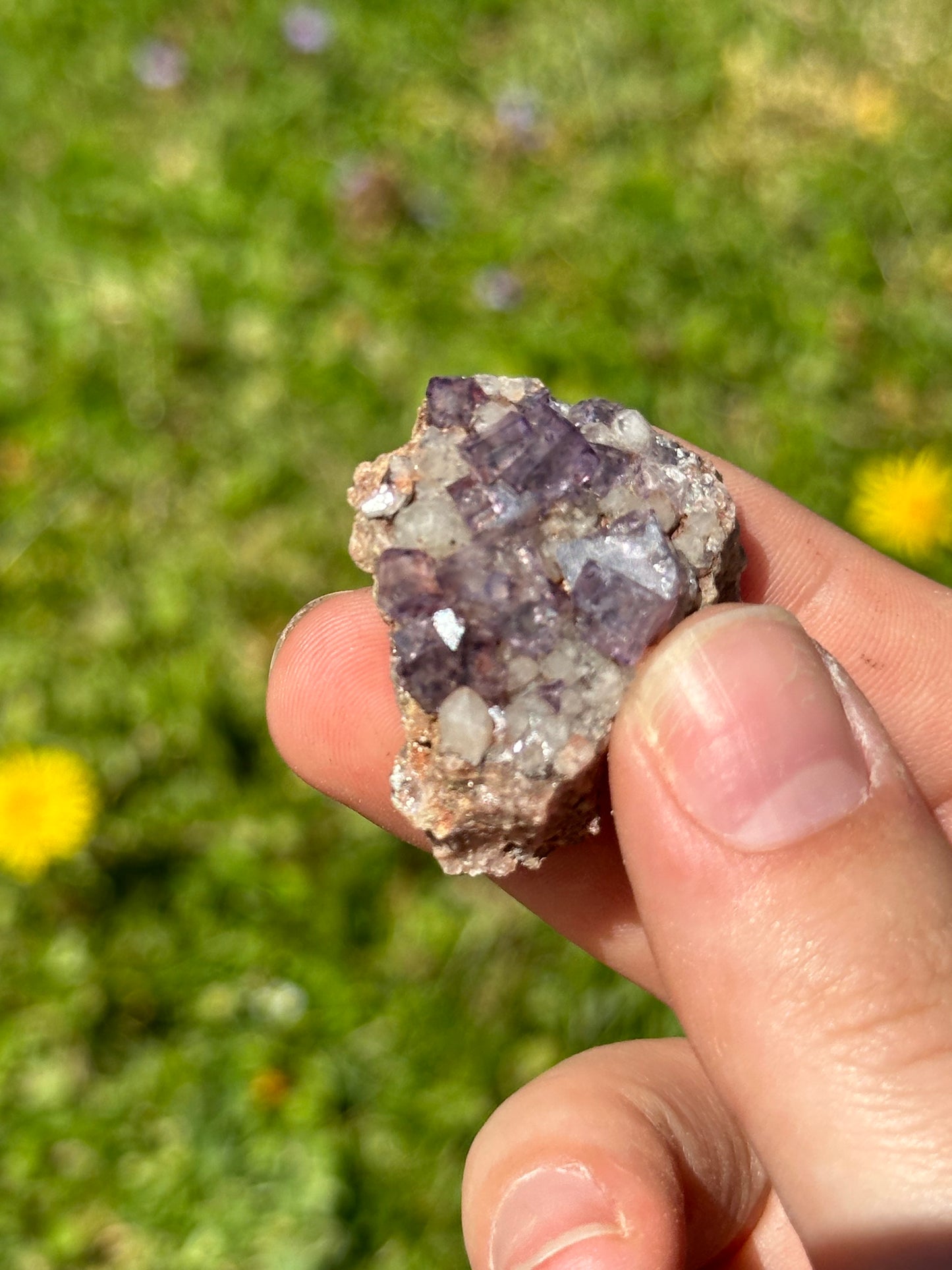 Colorado fluorite