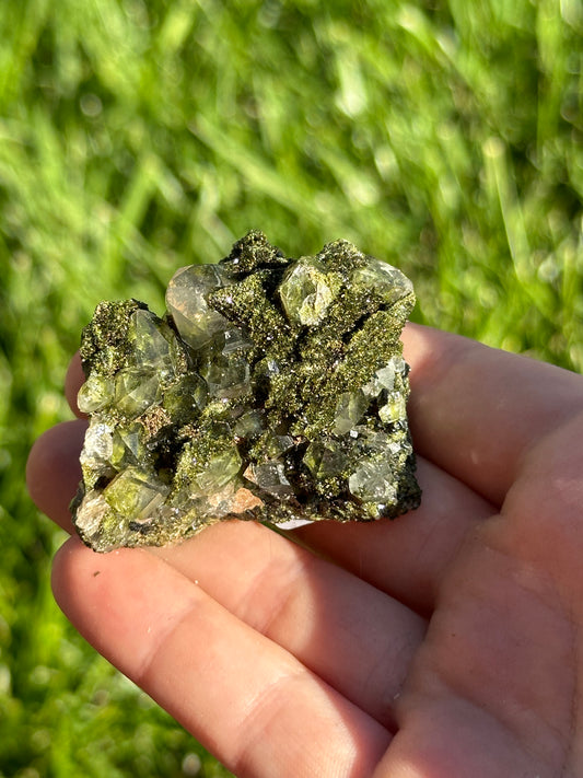 Forest epidote