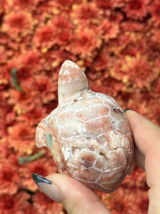 Pink crazy lace agate turtle