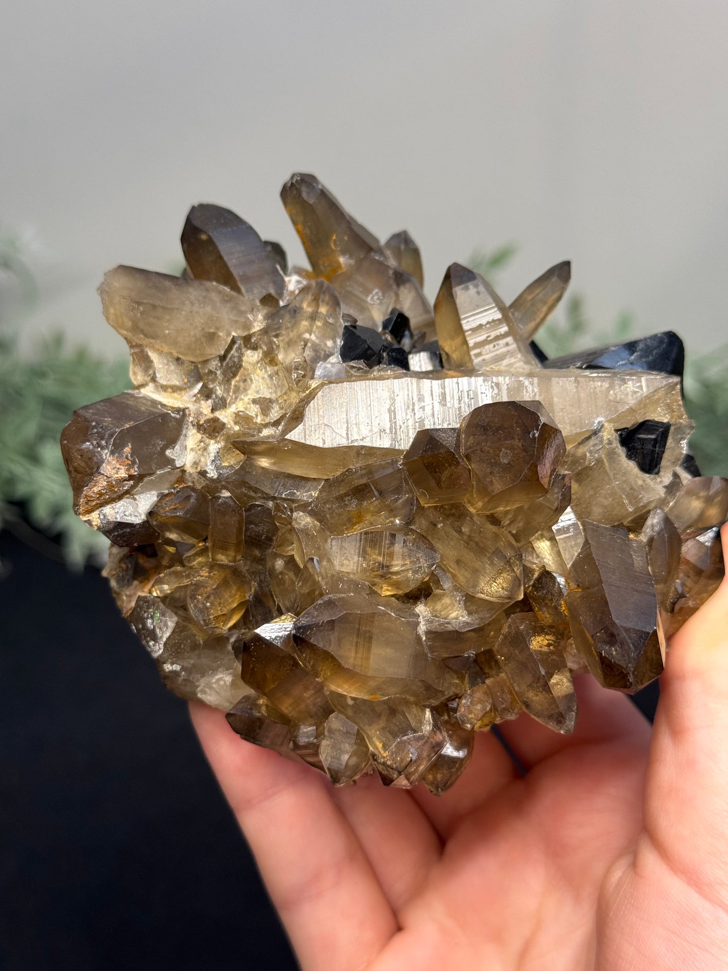 Smokey Quartz with black tourmaline - Africa