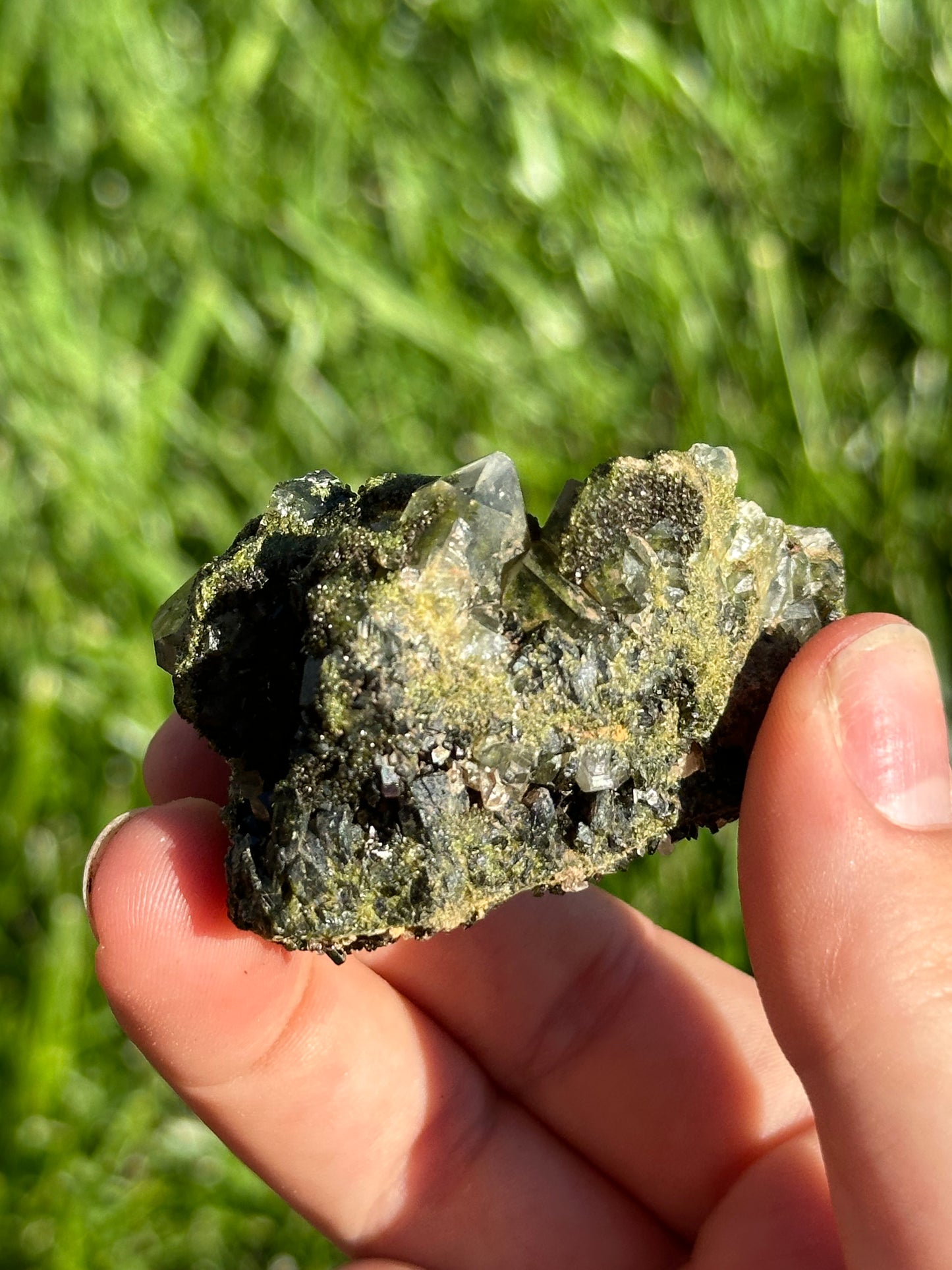 Forest epidote