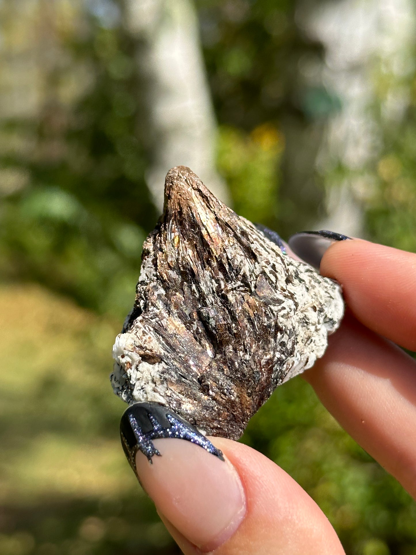 Astrophyllite