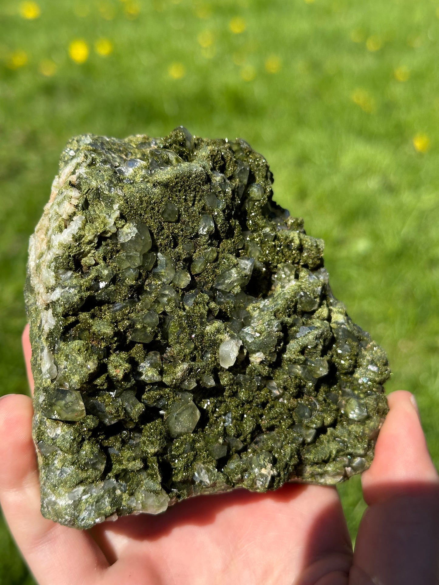 Forest epidote