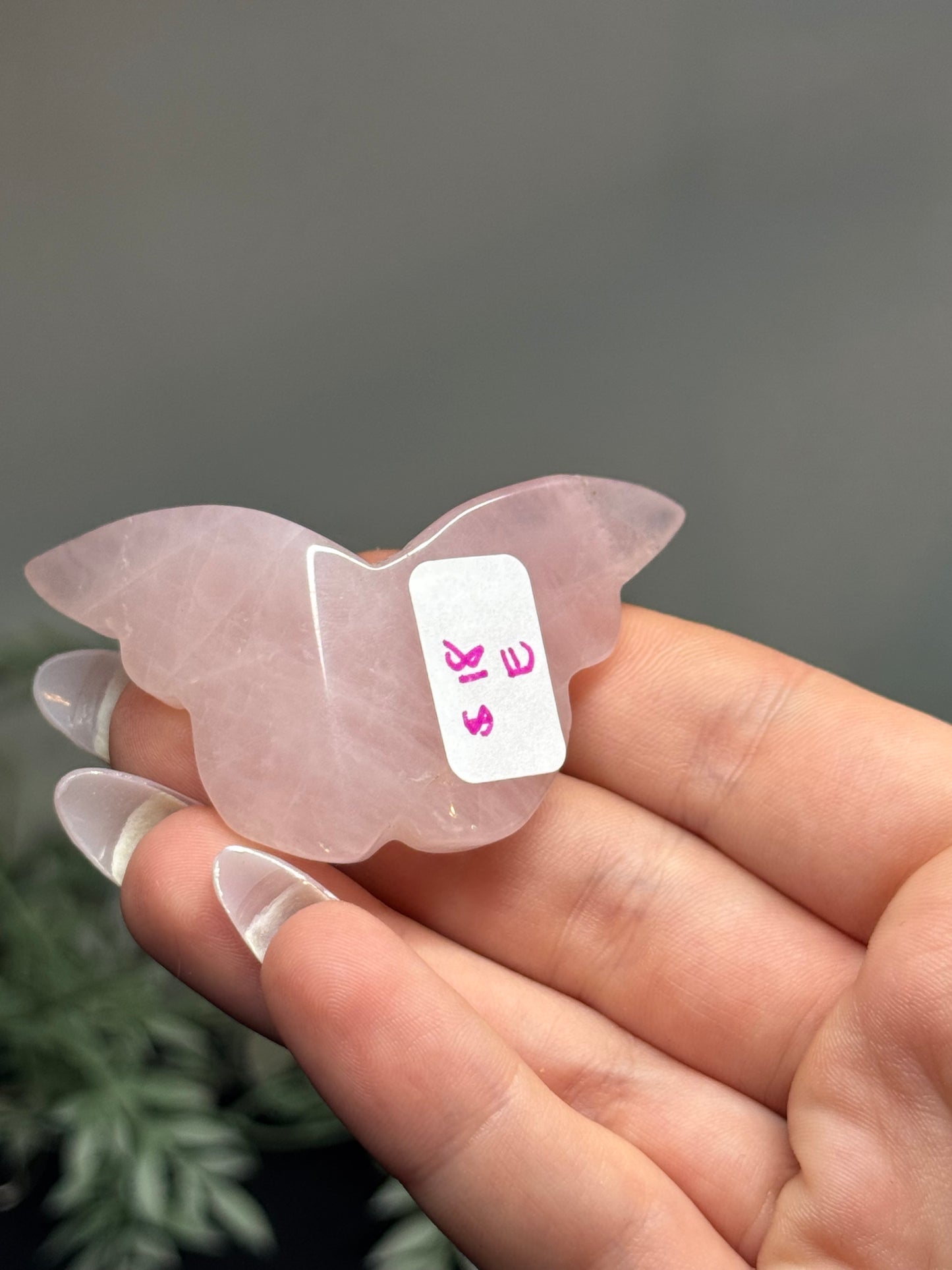 Rose Quartz 3D butterfly - E
