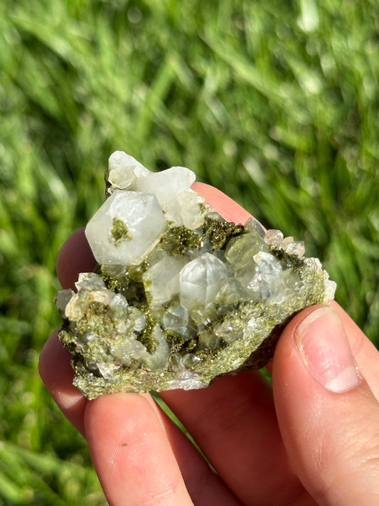 Forest epidote