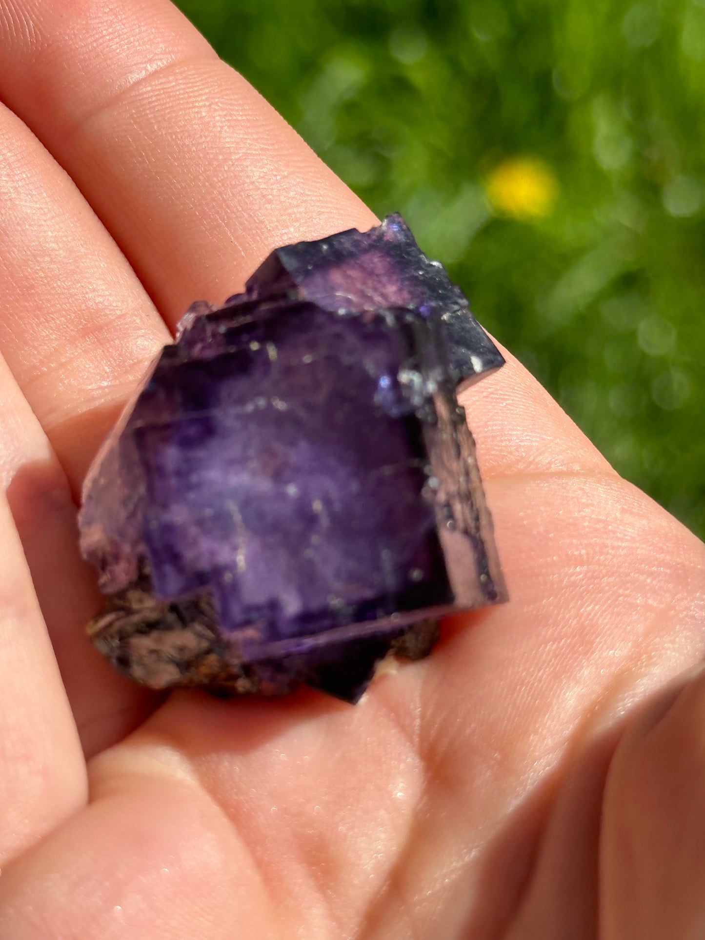Elmwood fluorite