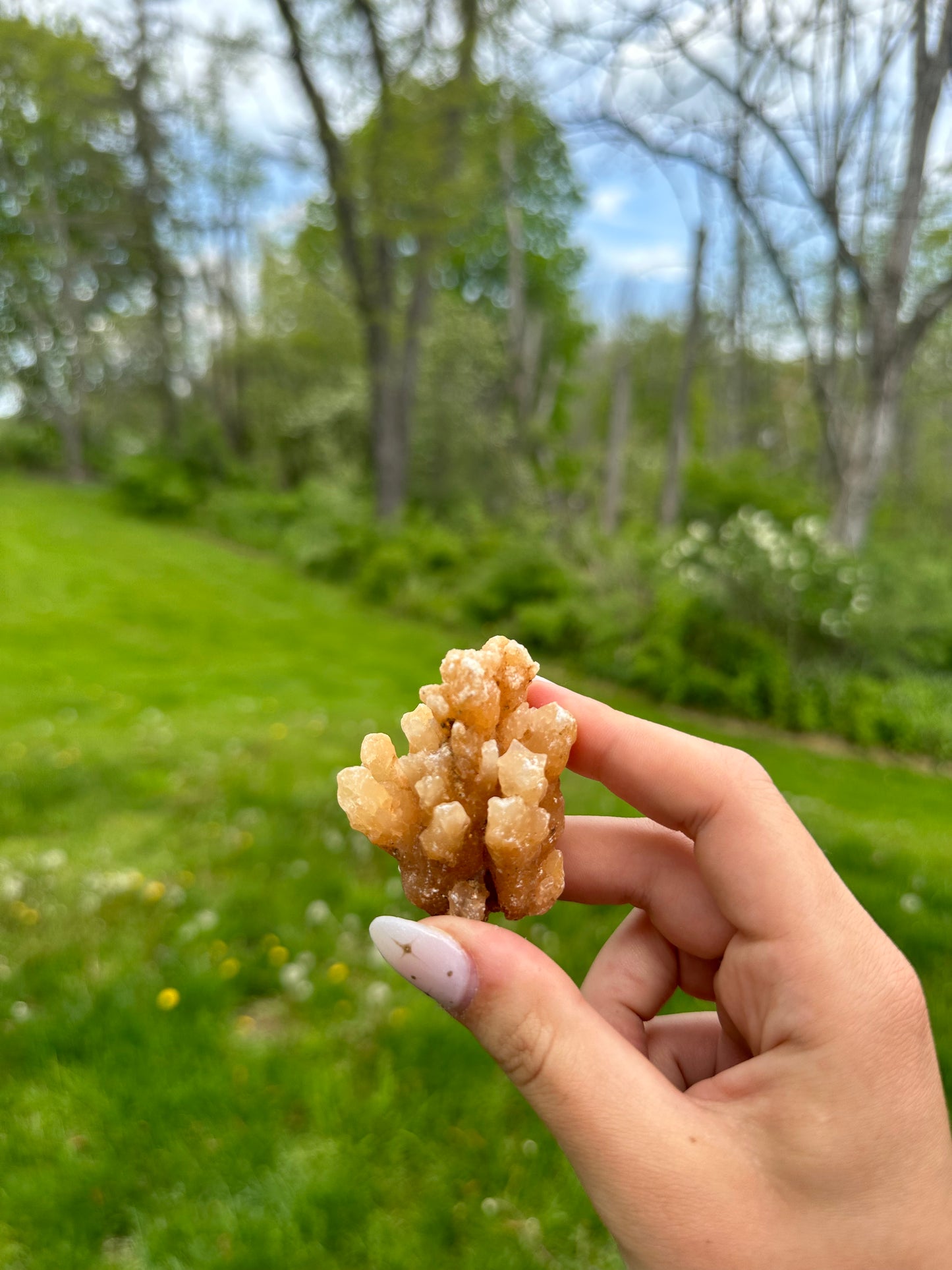 Coral Calcite