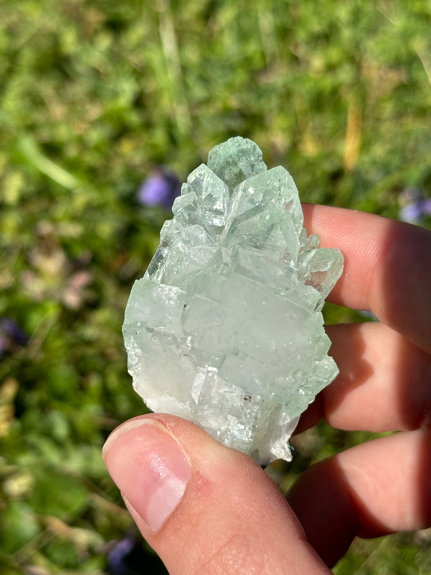 Green apophyllite | India