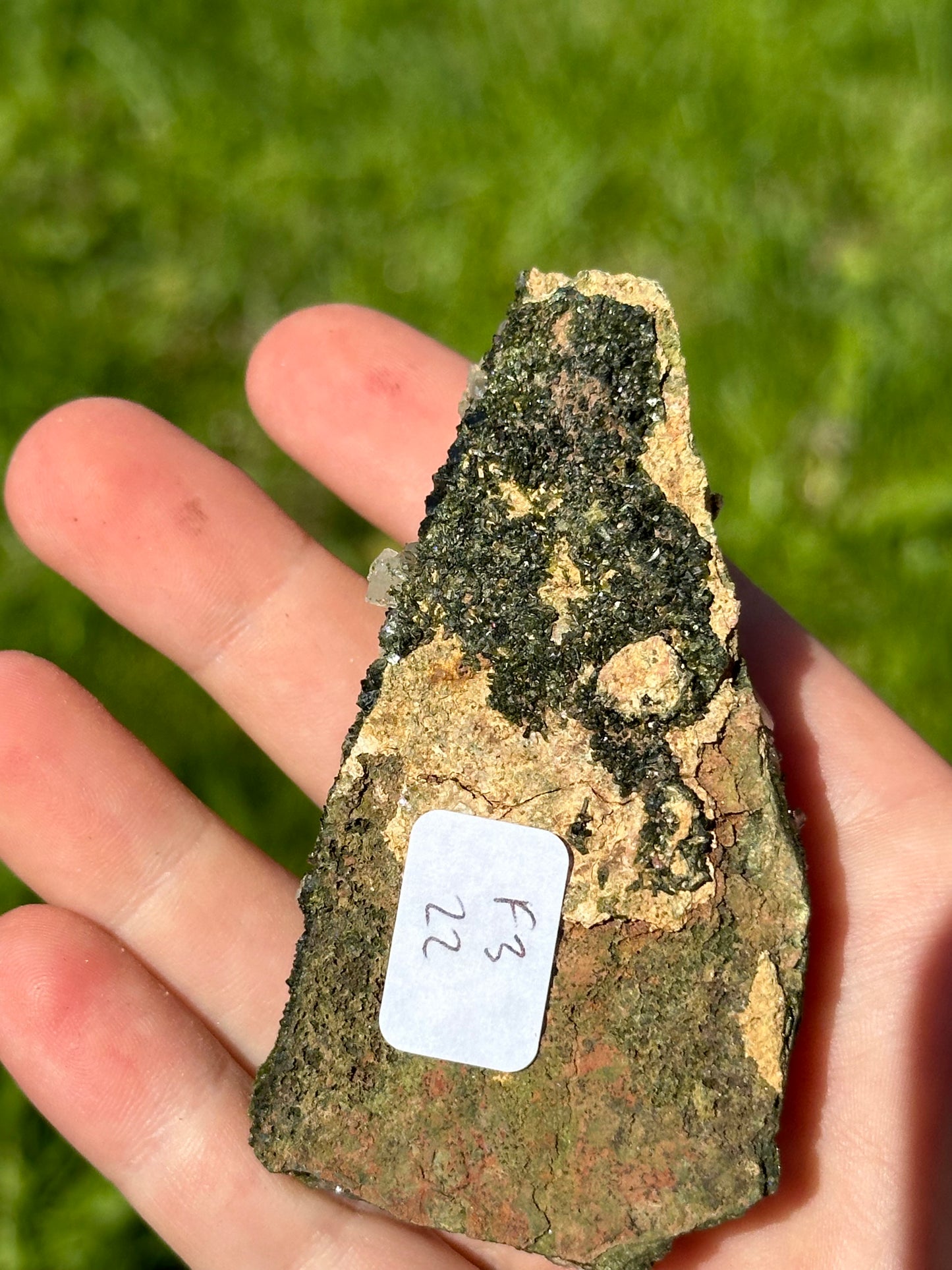 Forest epidote