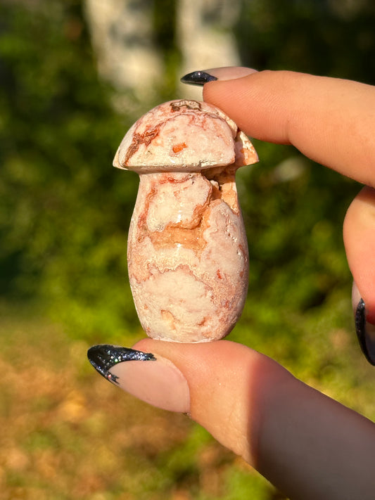 Pink Crazy Lace Agate Mushroom
