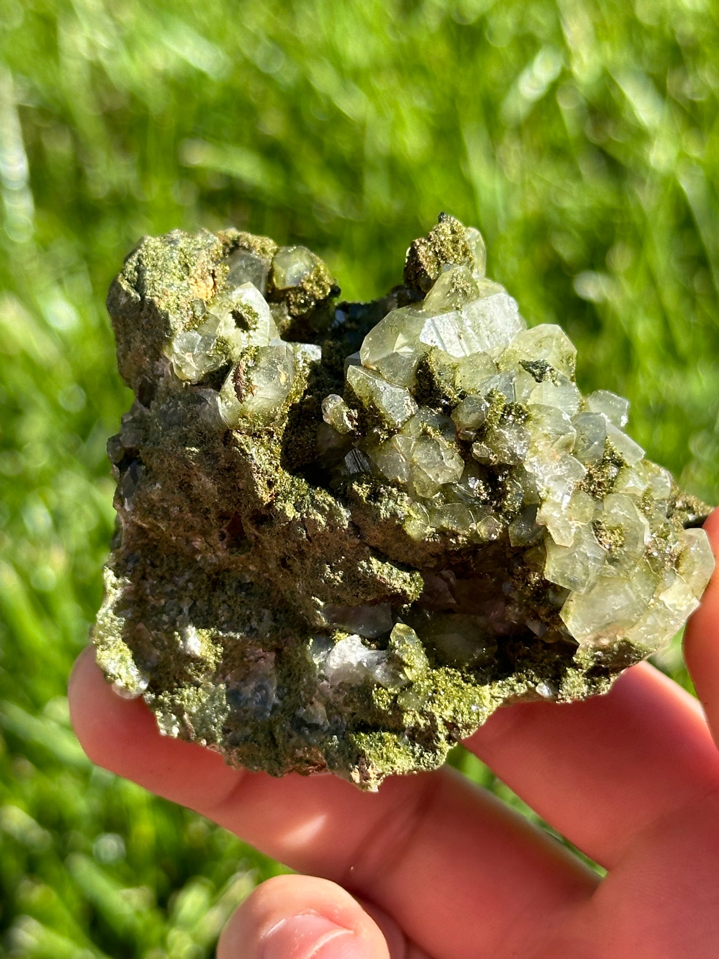 Forest epidote