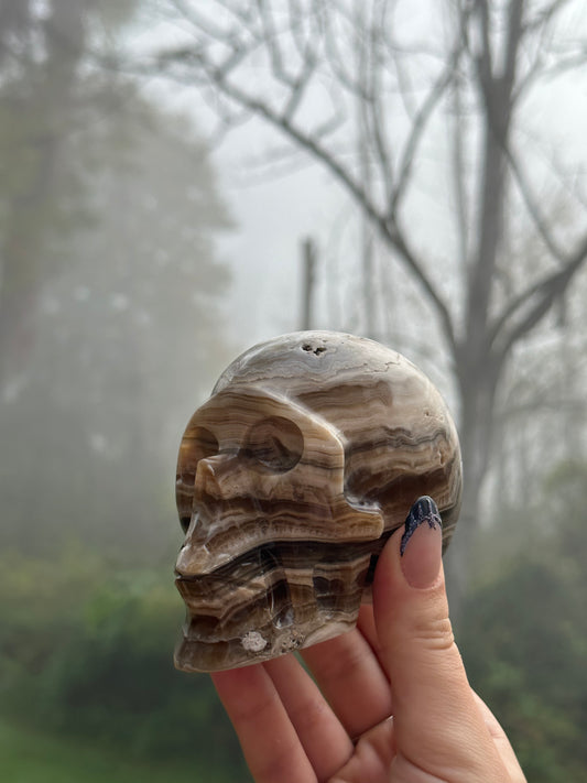 Chocolate calcite skull