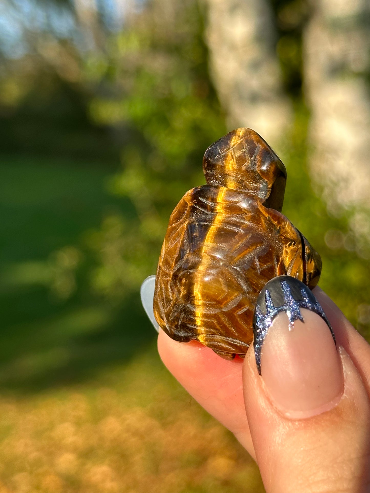 Tiger's Eye Turtle