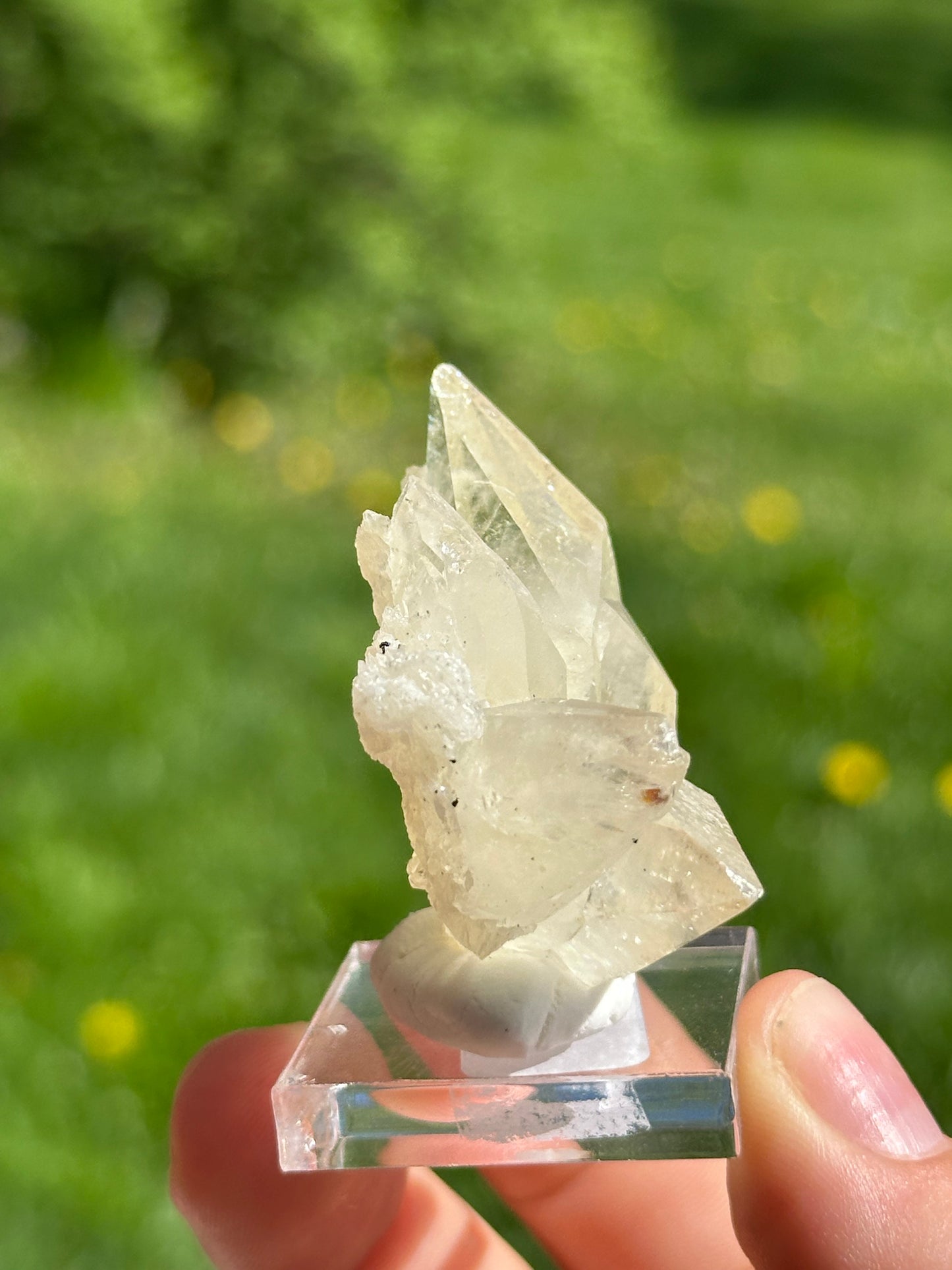 Elmwood calcite