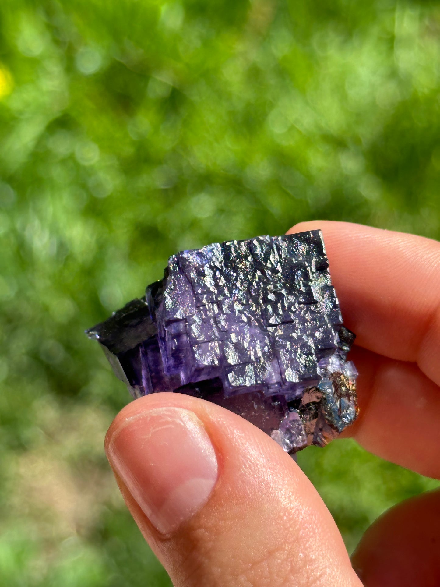 Elmwood fluorite