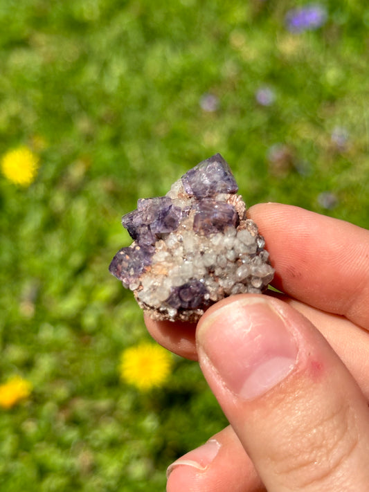 Colorado fluorite