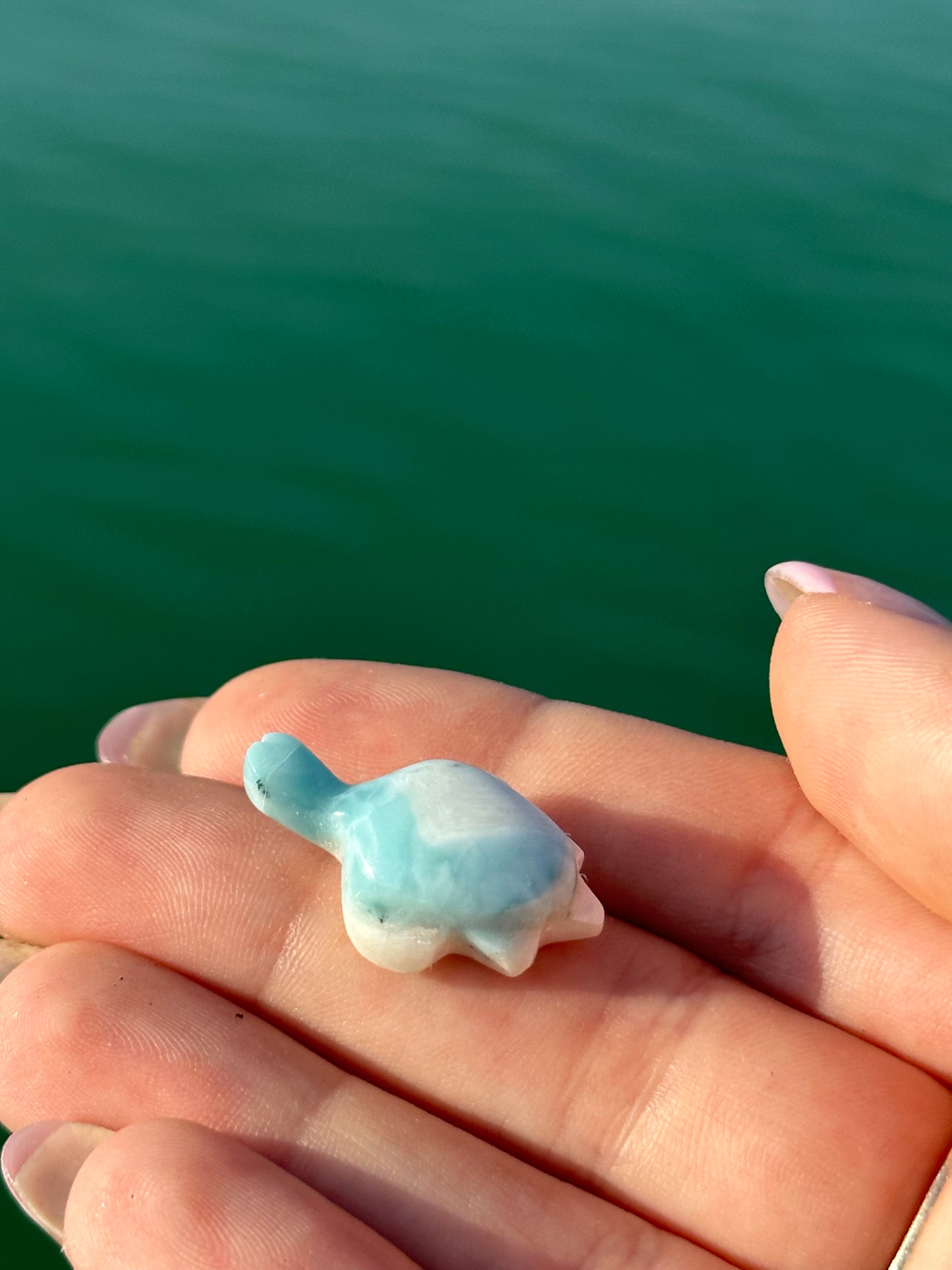 Larimar turtle