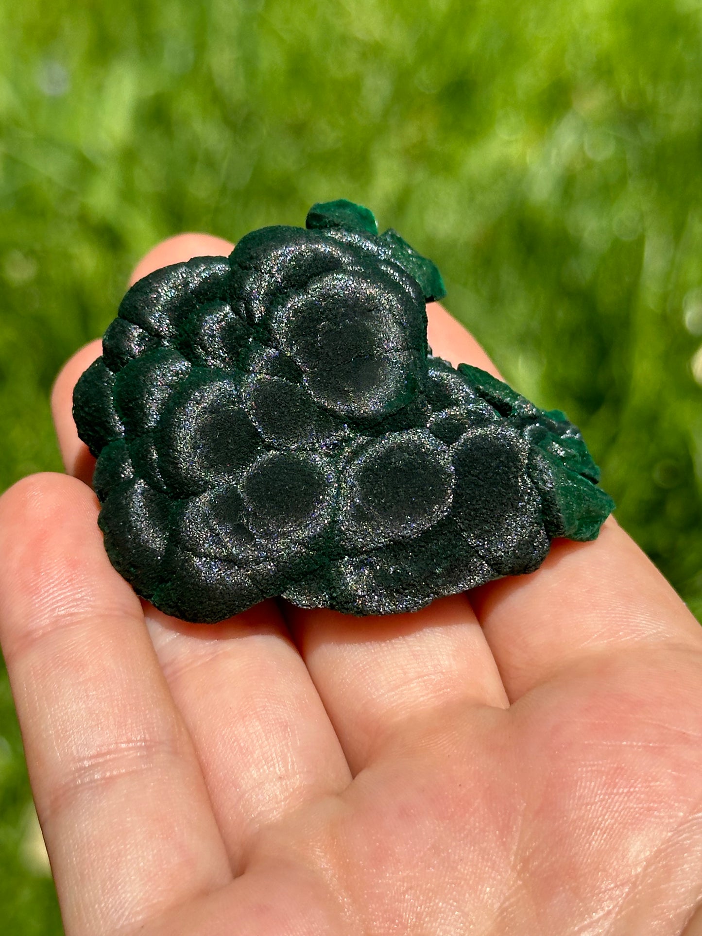 Velvet malachite