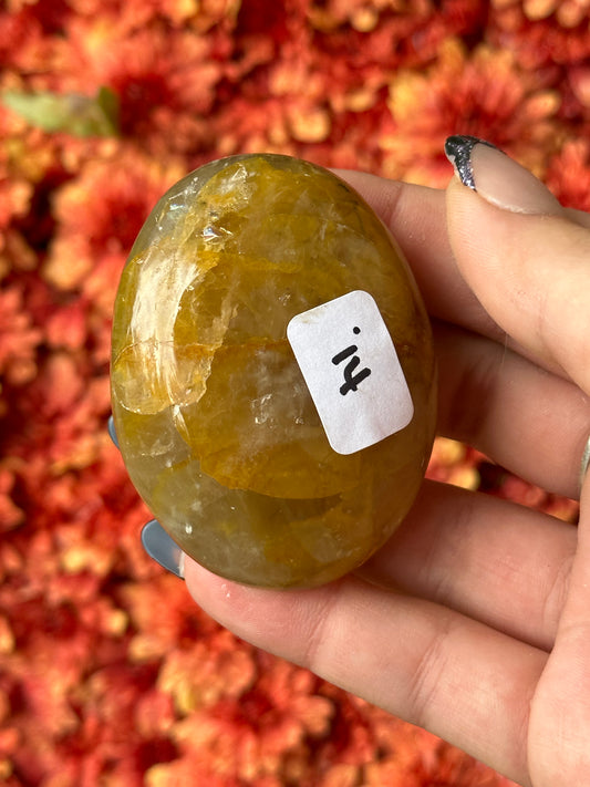 Golden Healer Palmstone
