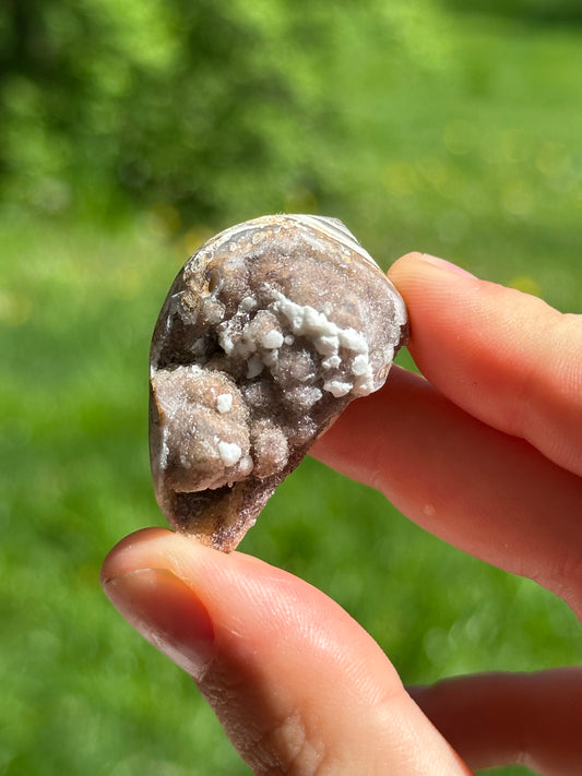 Crystallized shell | India