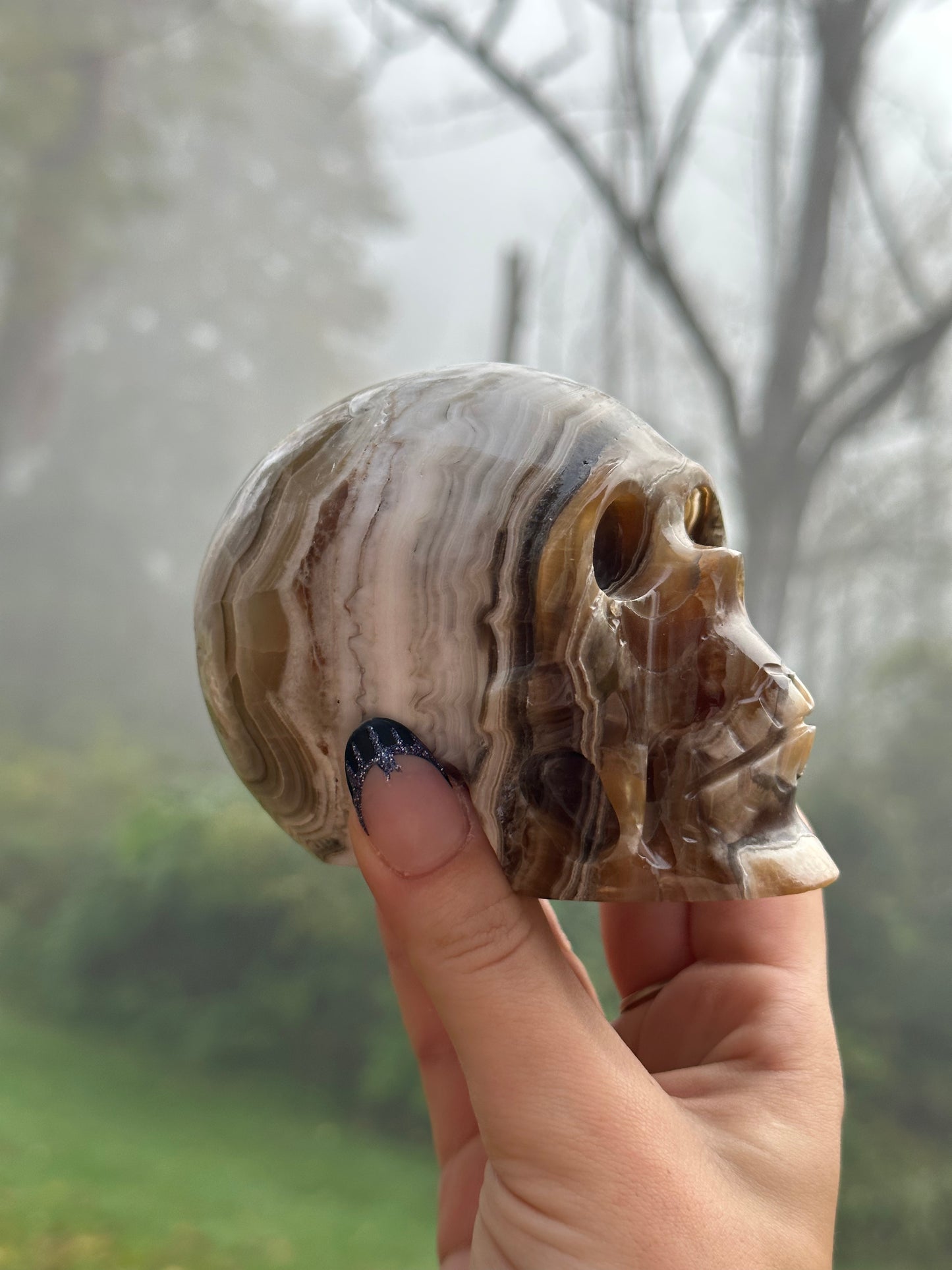 Chocolate calcite skull