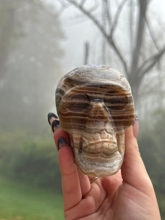 Chocolate calcite skull