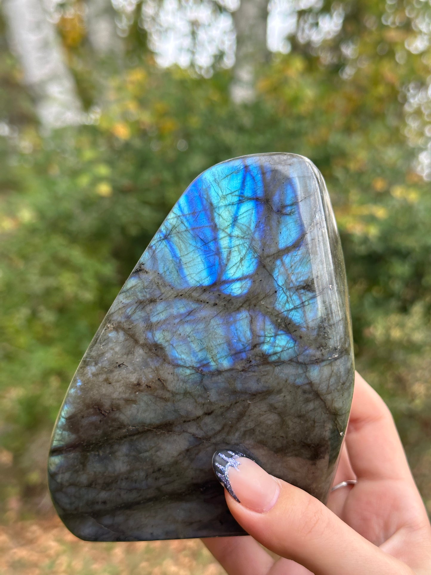 Labradorite Freeform