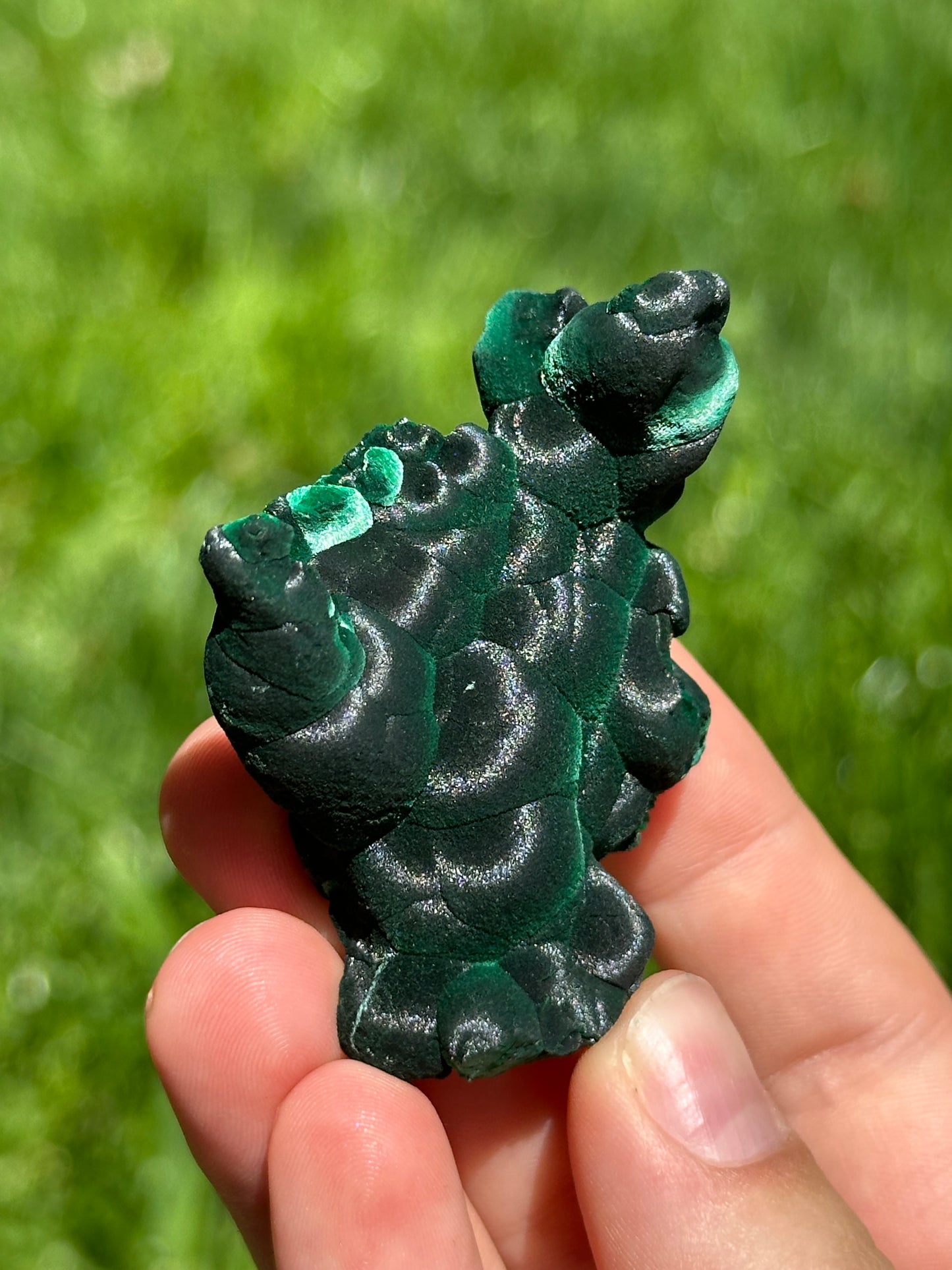 Velvet malachite