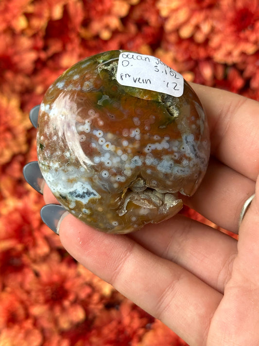 Ocean Jasper Palmstone- 8th Vein