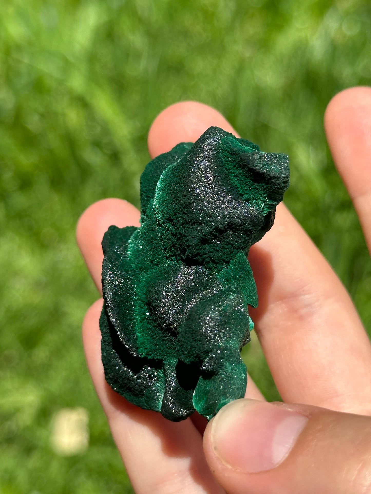 Velvet malachite