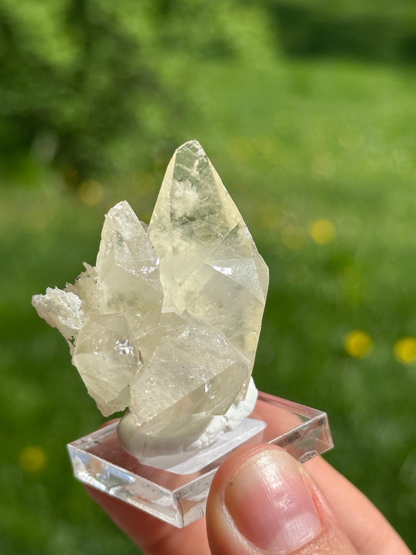 Elmwood calcite