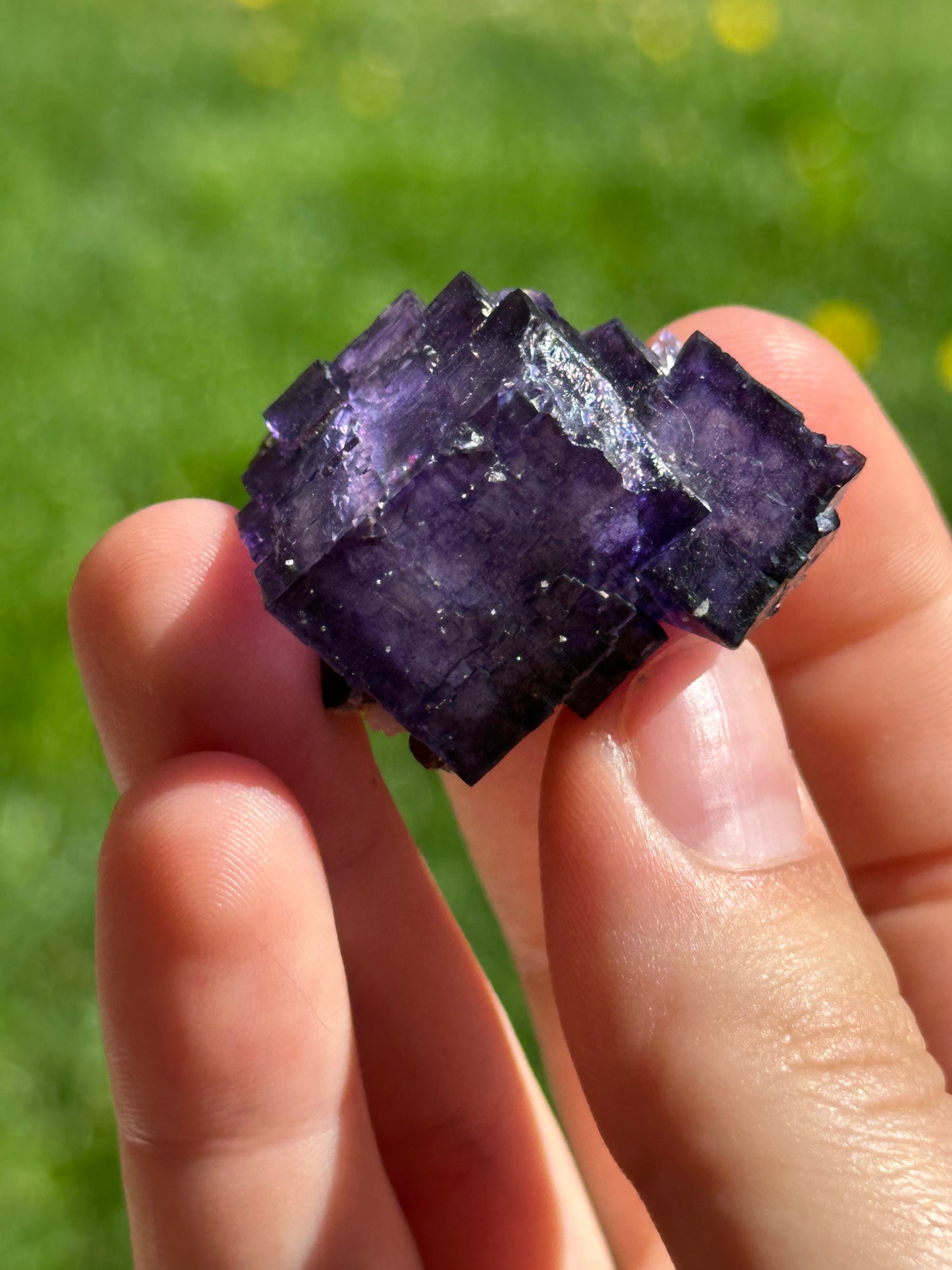 Elmwood fluorite