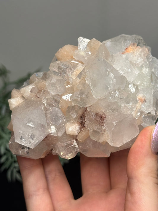 Sugary diamond Apophyllite with peach Stilbite - India