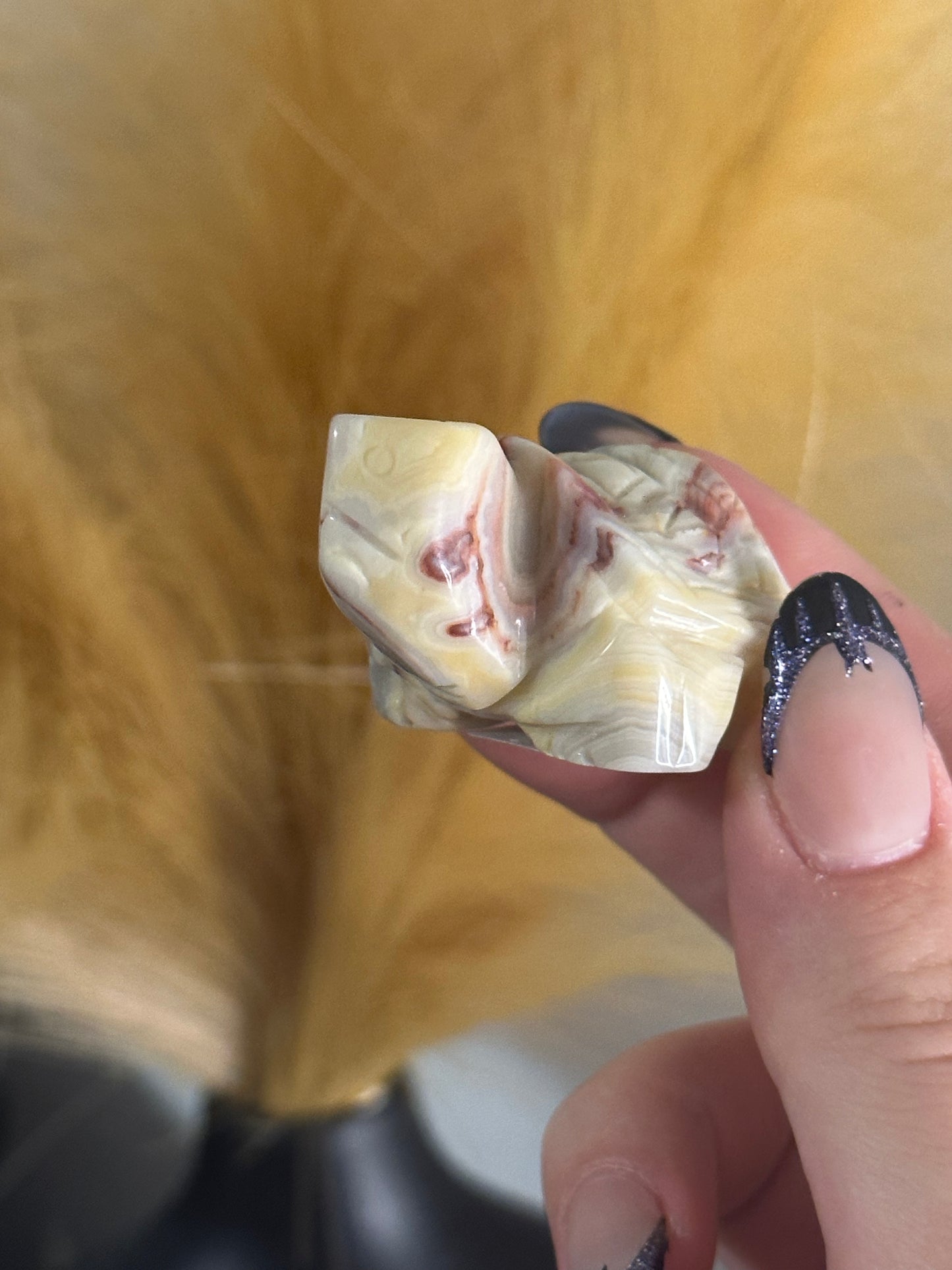 Crazy Lace Agate Tortoise