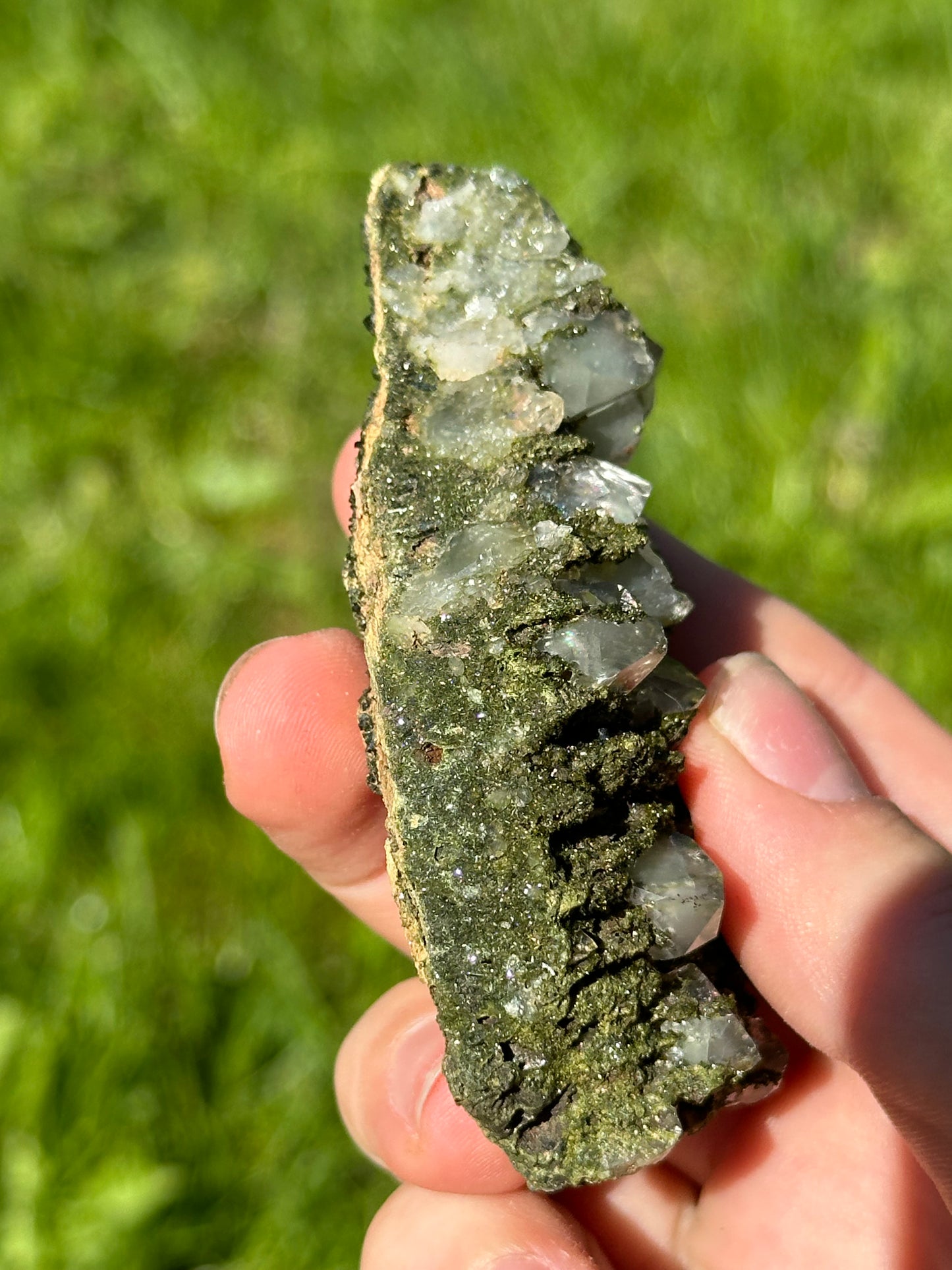 Forest epidote
