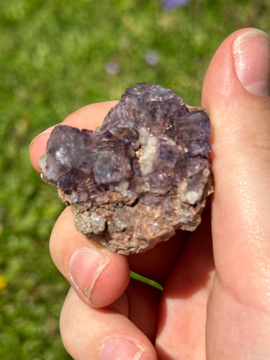 Colorado fluorite