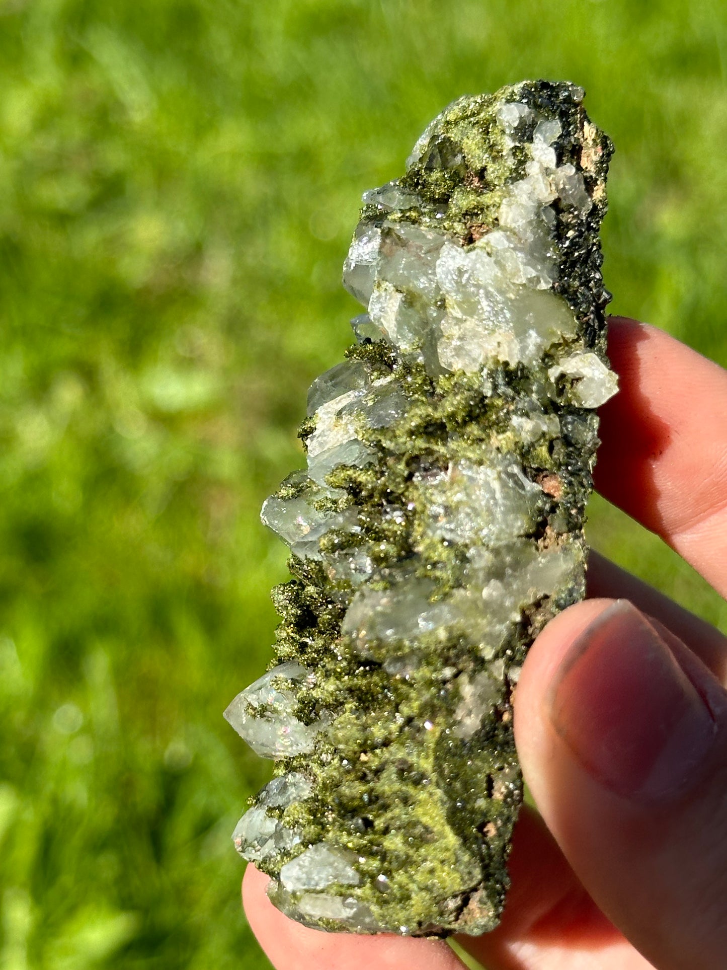 Forest epidote