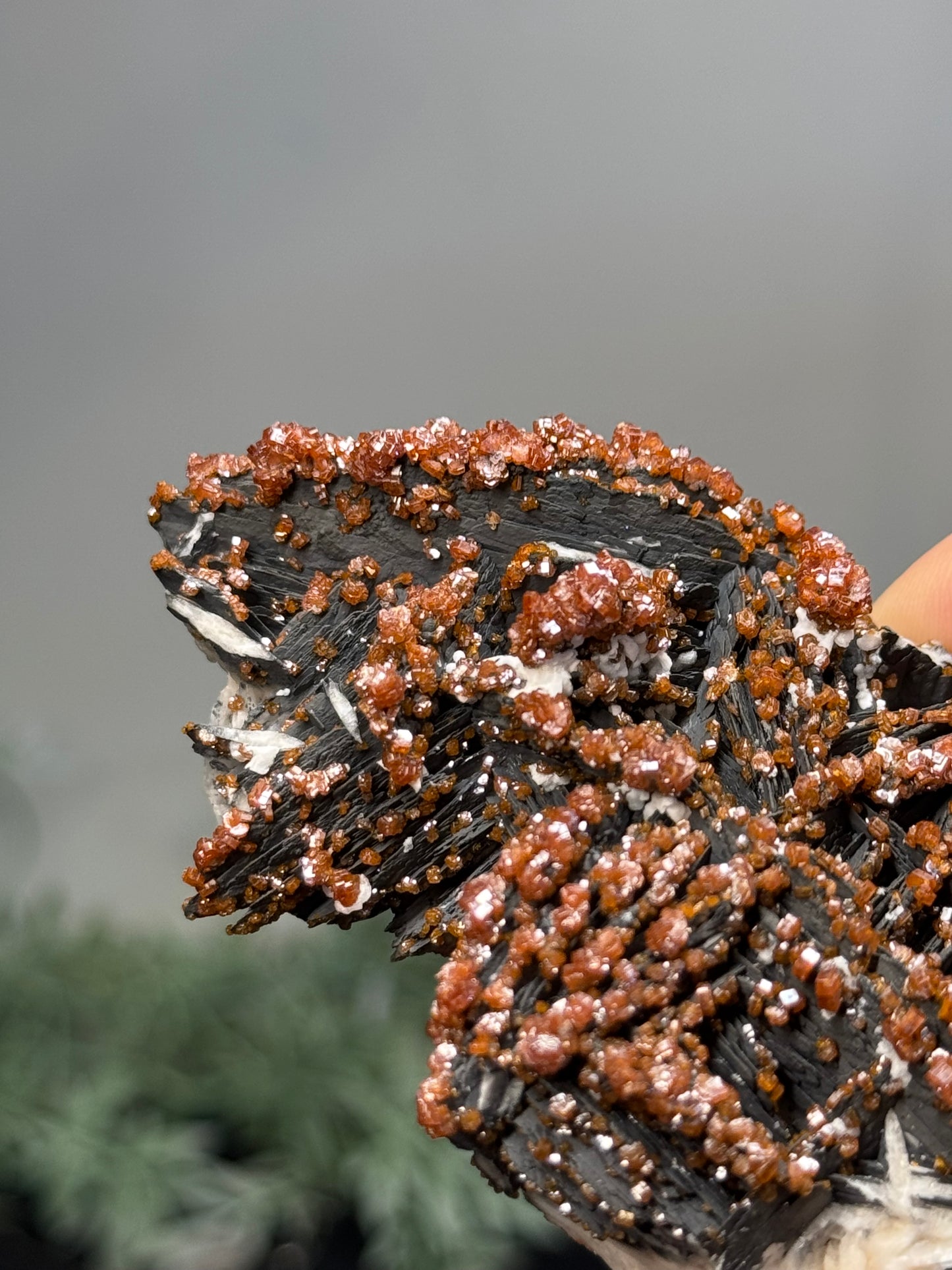 Vanadinite on black barite- Morocco