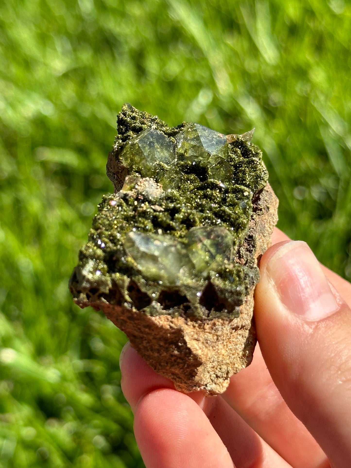 Forest epidote