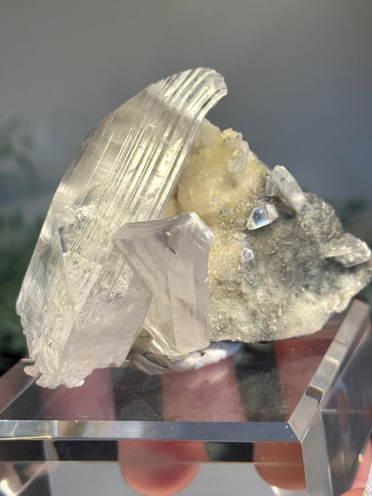 Niaca Selenite